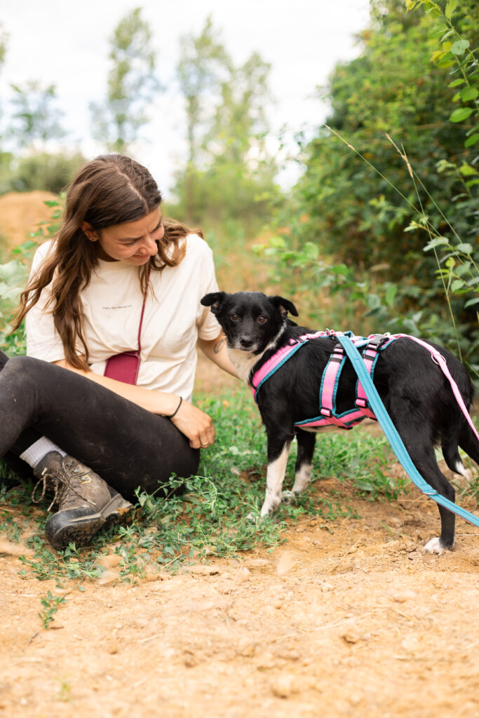 Hund That's Pets Rescue e.V.