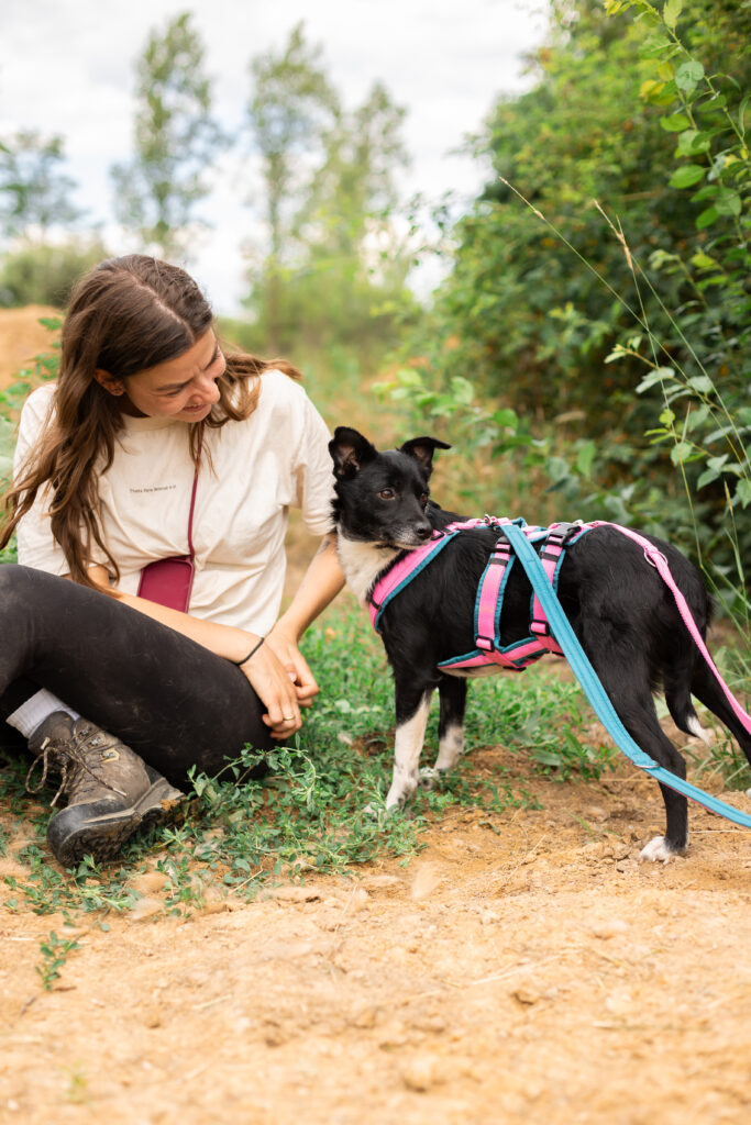 Hund That's Pets Rescue e.V.