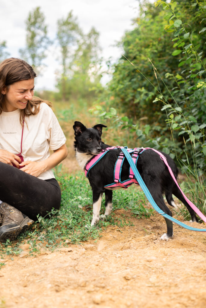 Hund That's Pets Rescue e.V.