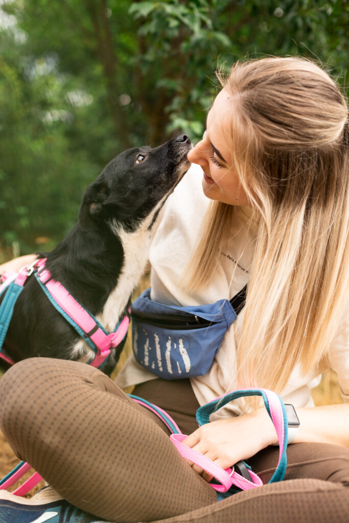 Hund That's Pets Rescue e.V.