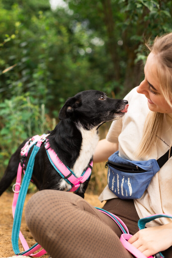 Hund That's Pets Rescue e.V.