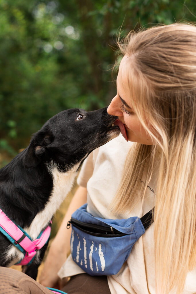 Hund That's Pets Rescue e.V.