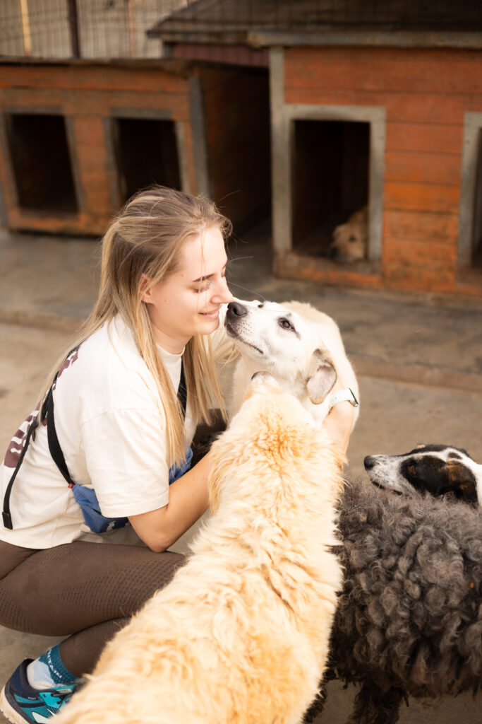 Hund That's Pets Rescue e.V.