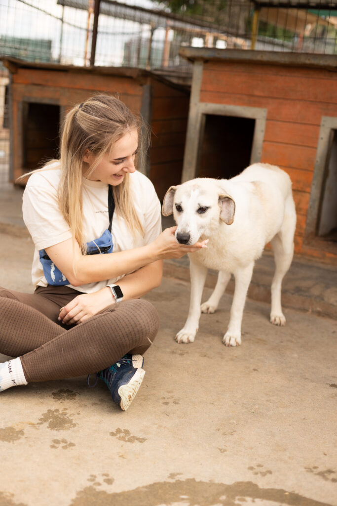Hund That's Pets Rescue e.V.