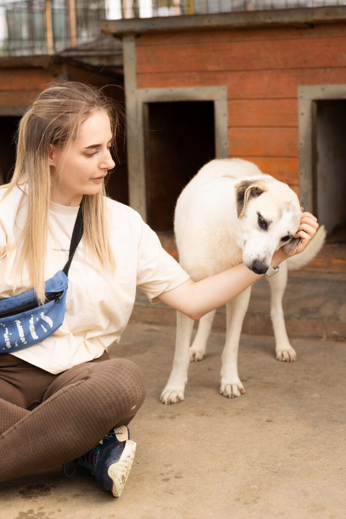 Hund That's Pets Rescue e.V.