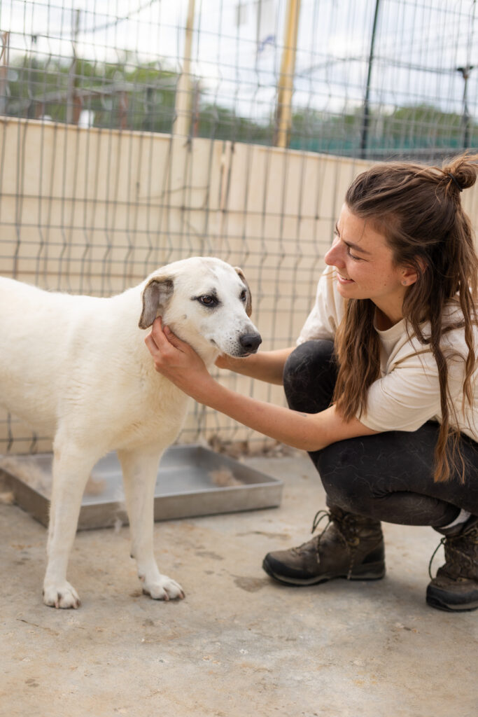 Hund That's Pets Rescue e.V.