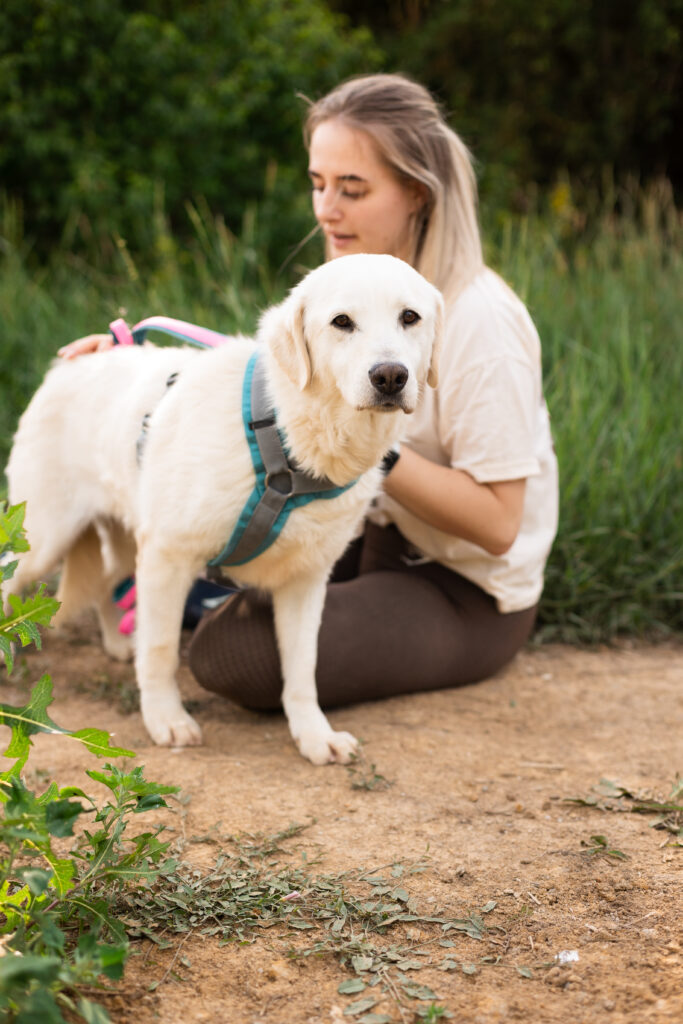 Hund That's Pets Rescue e.V.