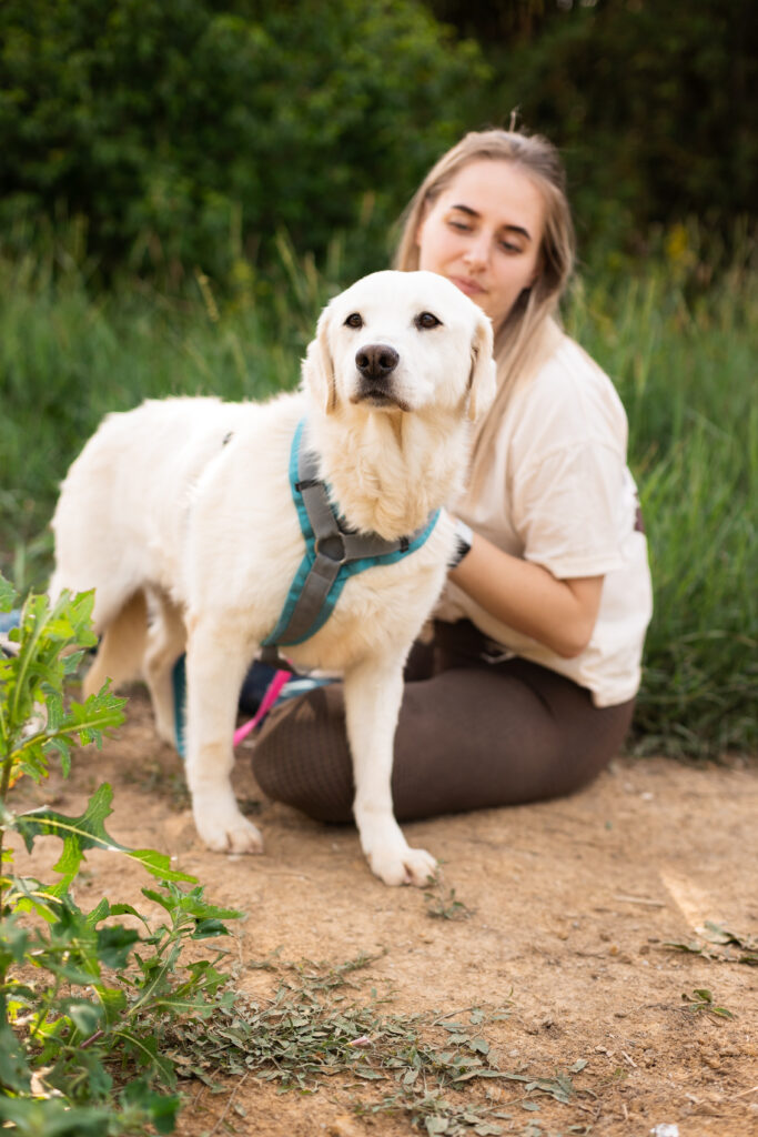 Hund That's Pets Rescue e.V.