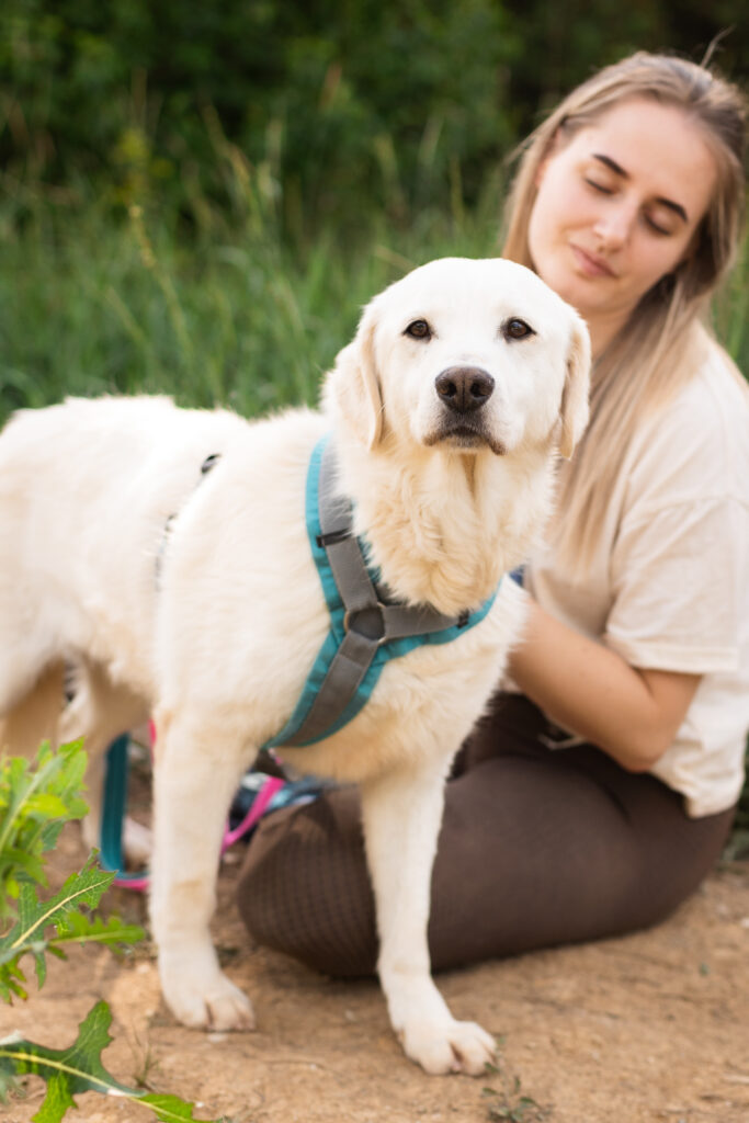 Hund That's Pets Rescue e.V.