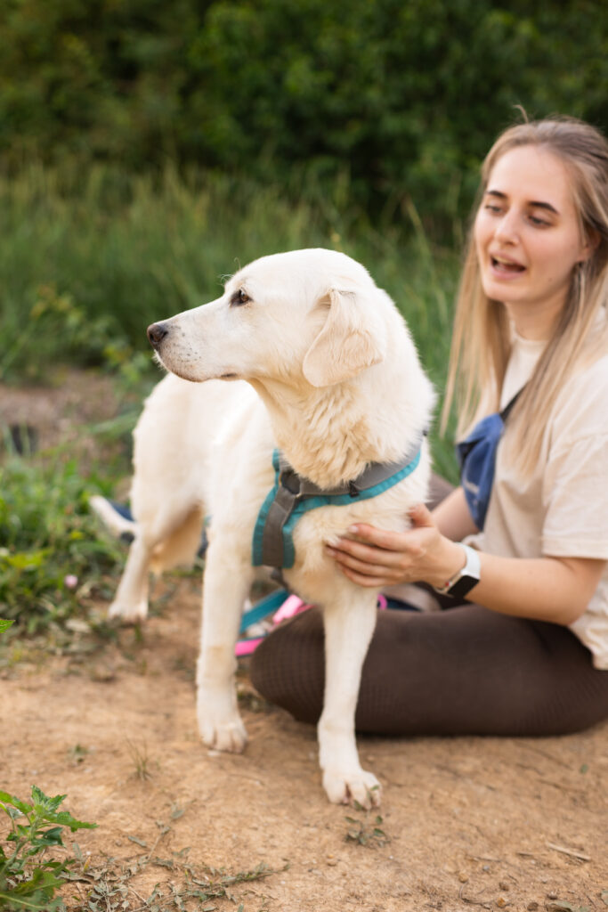 Hund That's Pets Rescue e.V.