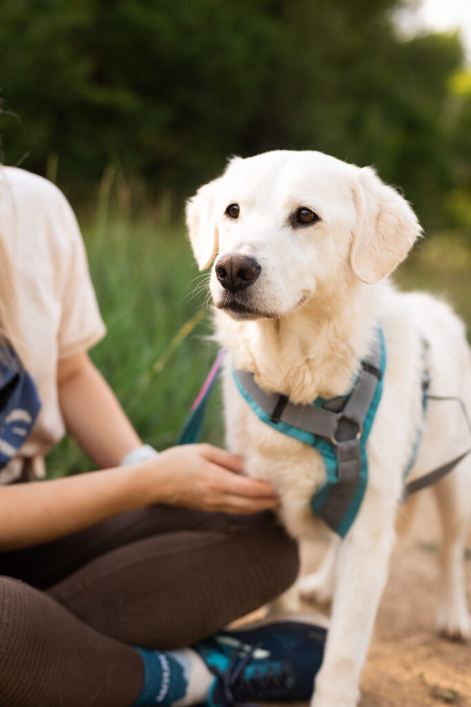 Hund That's Pets Rescue e.V.