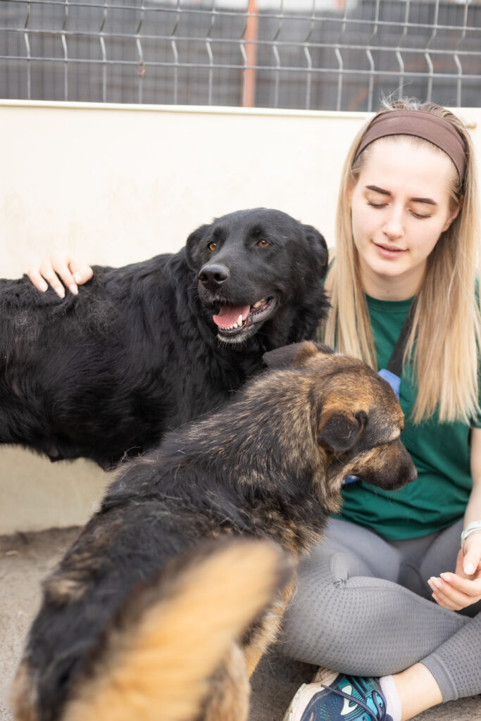 Hund That's Pets Rescue e.V.