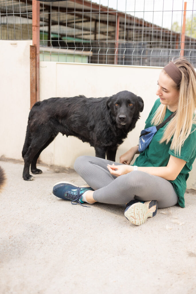 Hund That's Pets Rescue e.V.