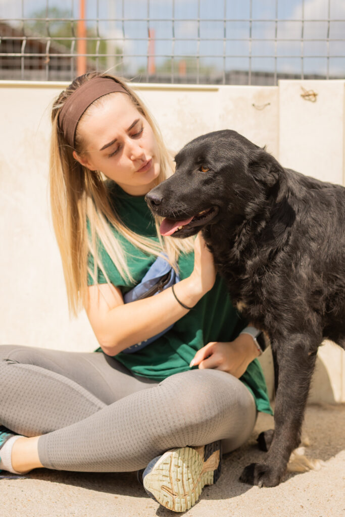 Hund That's Pets Rescue e.V.