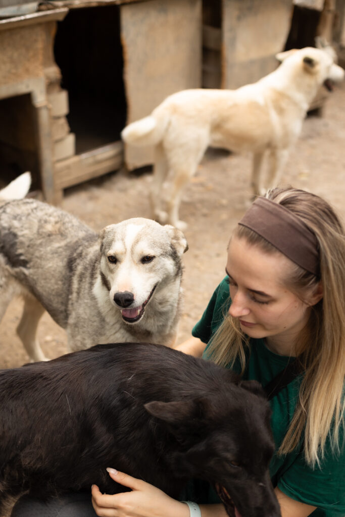 Hund That's Pets Rescue e.V.