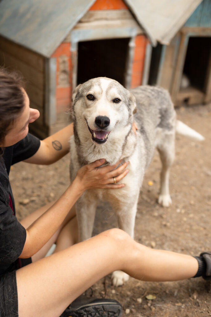 Hund That's Pets Rescue e.V.