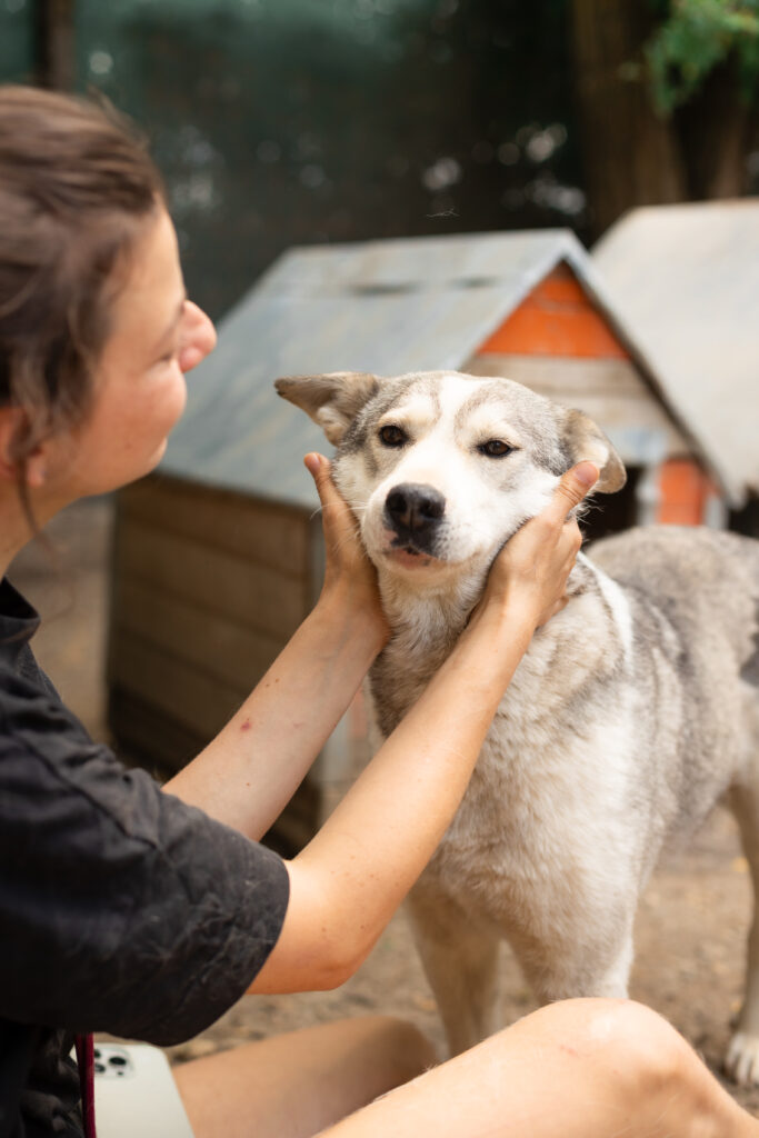 Hund That's Pets Rescue e.V.
