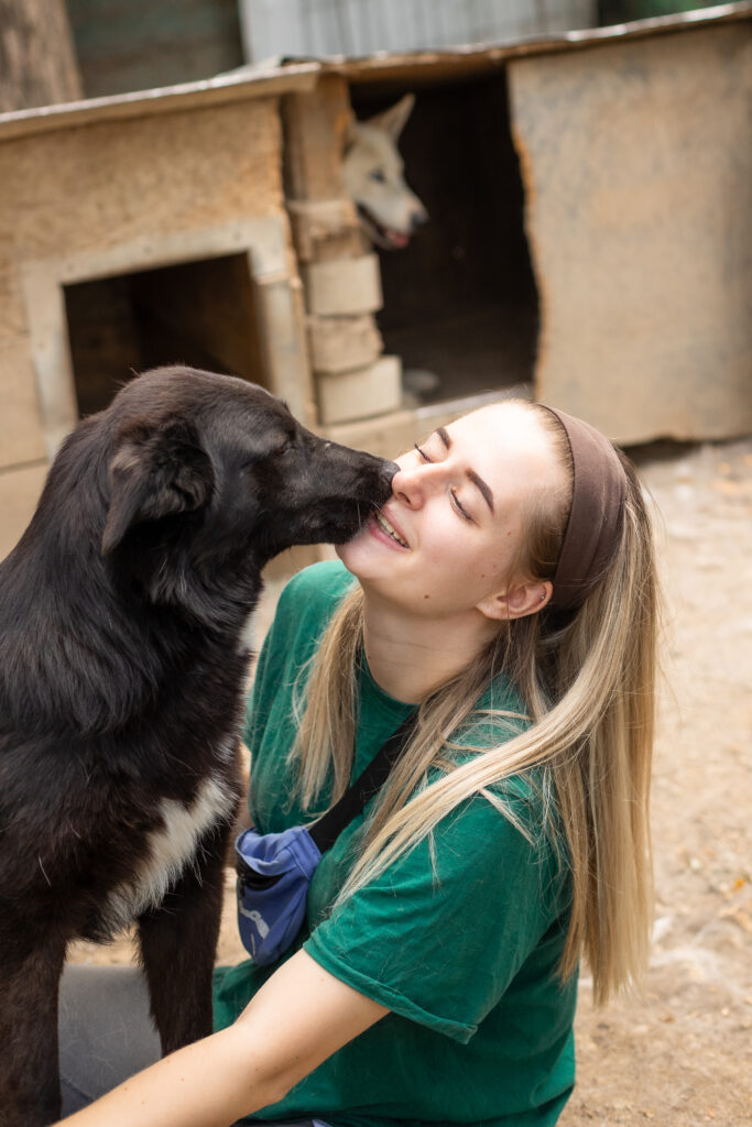 schwarze Hündin vom Tierschutzverein That's Pets Rescue e.V. sucht eine Pflegestelle