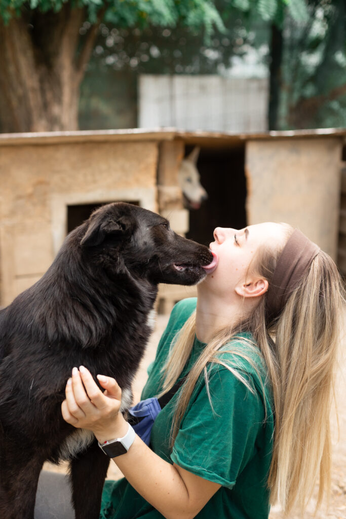 schwarze Hündin vom Tierschutzverein That's Pets Rescue e.V. sucht eine Pflegestelle