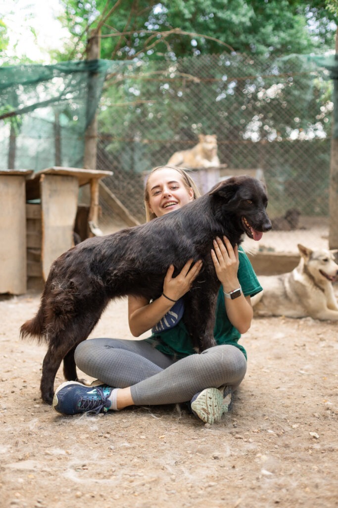 schwarze Hündin vom Tierschutzverein That's Pets Rescue e.V. sucht eine Pflegestelle