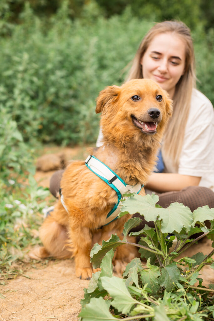 Hund That's Pets Rescue e.V.