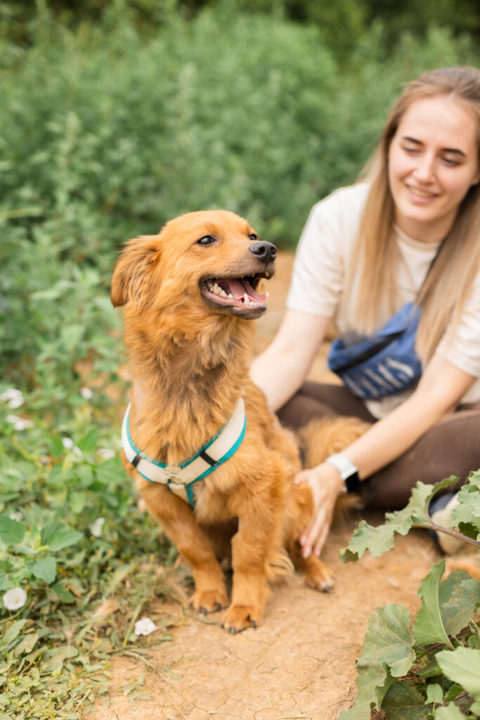 Hund That's Pets Rescue e.V.