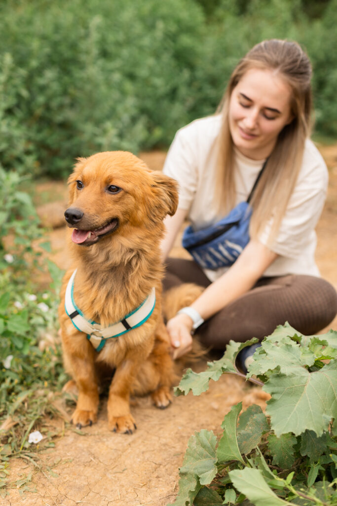 Hund That's Pets Rescue e.V. sucht ein Zuhause