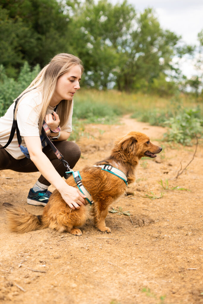 Hund That's Pets Rescue e.V.