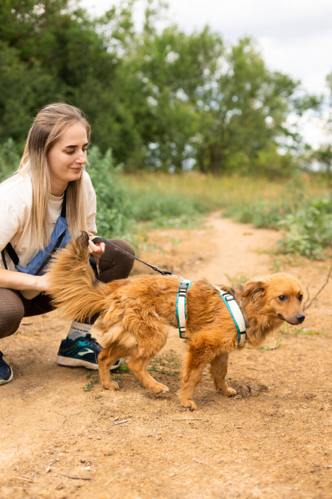 Hund That's Pets Rescue e.V.