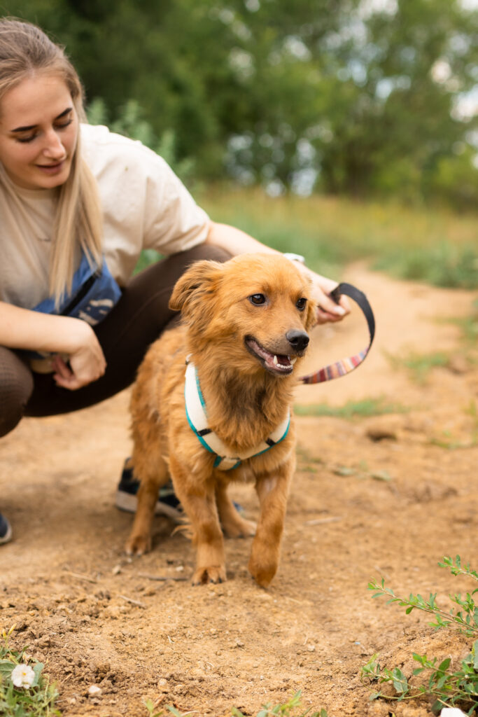 Hund That's Pets Rescue e.V.