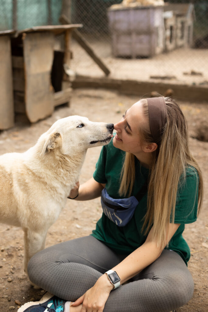 weißer Rüde aus dem Tierschutz
