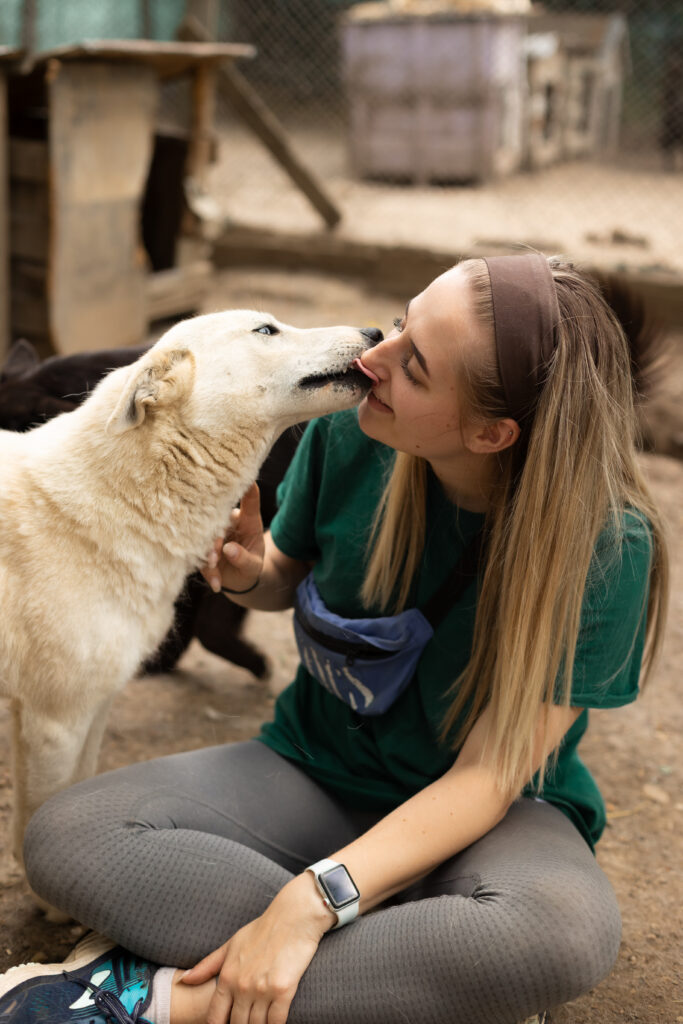 weißer Rüde aus dem Tierschutz
