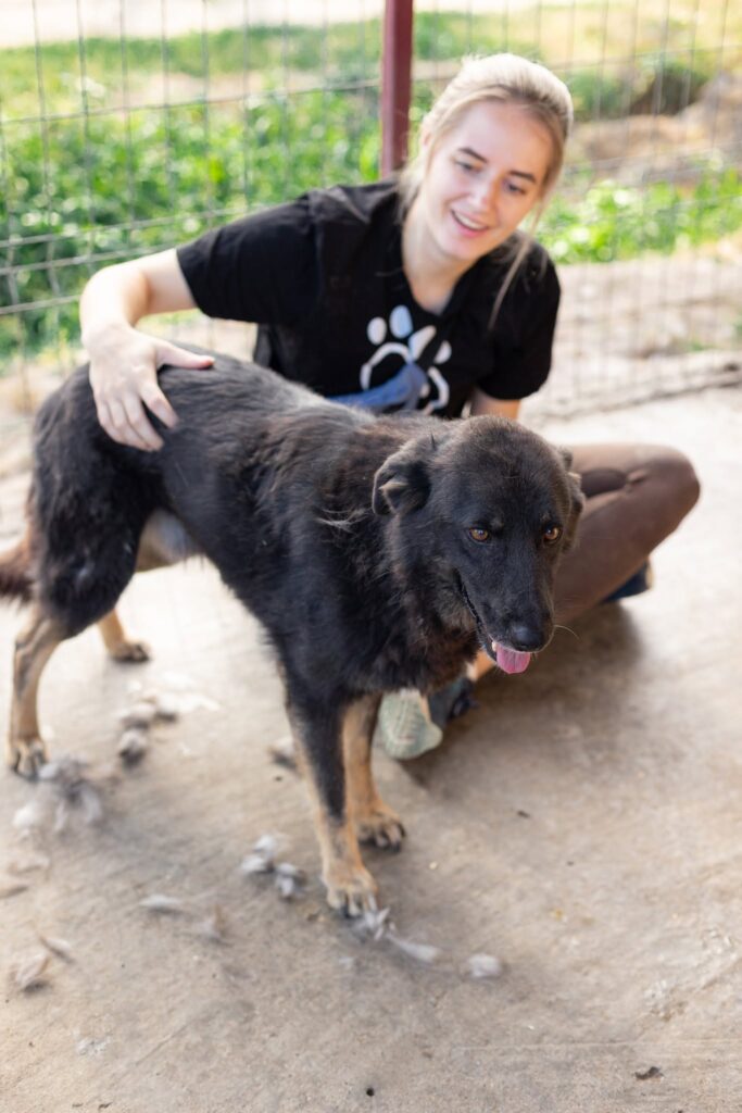 Heidi2