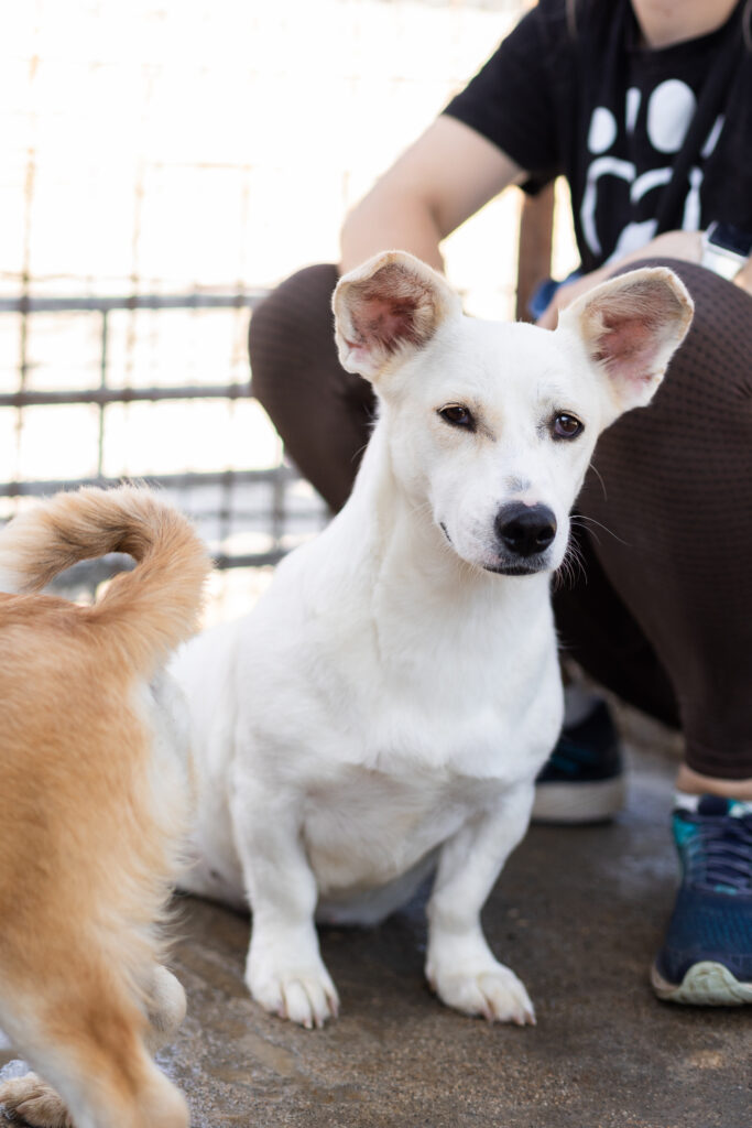_V9A2654